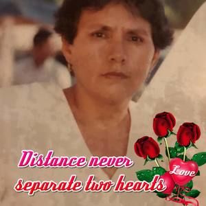 Meet your Posher, Elva